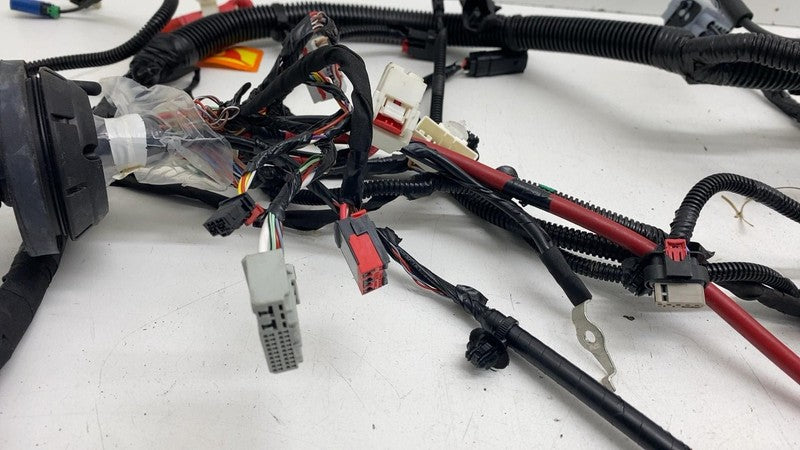 ⭕ 2025-2026 Tesla Model Y Front End Main Body Wiring Harness Cable Wir