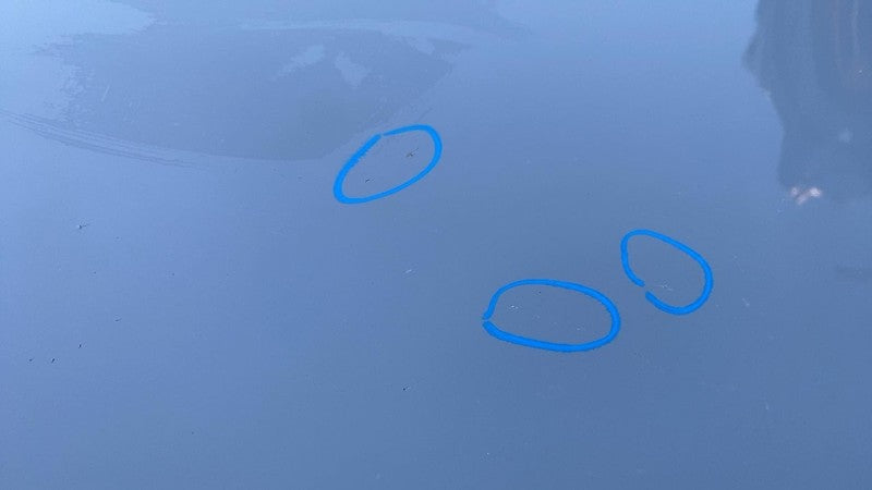 2022-2024 Rivian R1T R1S Front Hood Bonnet Shell Cover Panel Limestone - EXP009