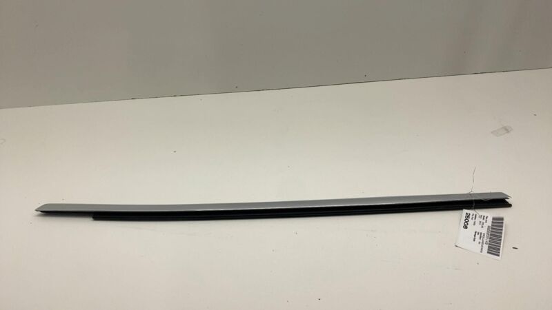 2012-2020 Tesla Model S Rear Driver Door Window Outer Belt Molding Chrome Left