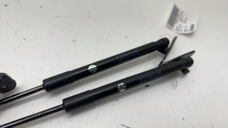 ⭕ 2017-2023 Tesla Model 3 Front Left & Right Hood Lift Shock Strut Support OEM