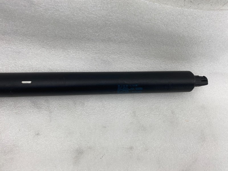 ⭕ 2012-2025 Tesla Model S Rear Left Liftgate Trunk Spring Strut LH 600