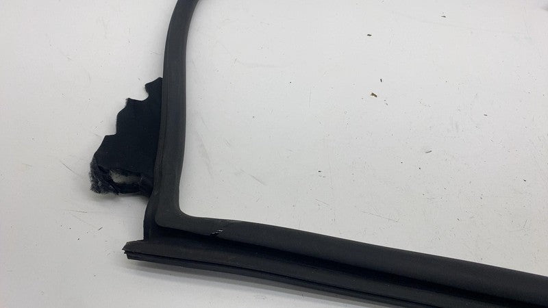 191098500E ⭕ 24-25 Tesla Model 3 Rear Side Left Door Primary Weatherstrip Seal 1910985-00-E