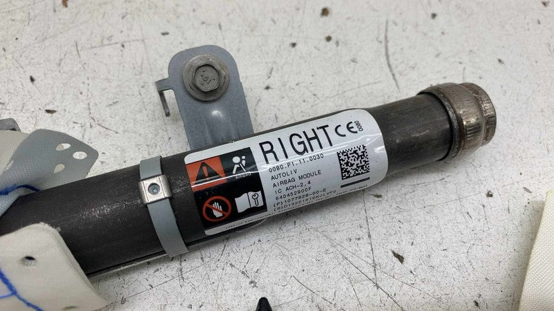 Air Bag TESLA MODEL 3 22