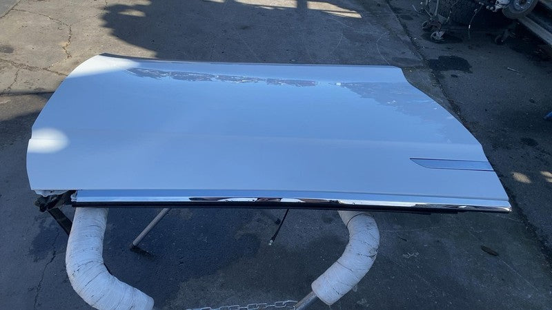2016-2020 Tesla Model X Front Passenger Side Door Shell Panel Right White - PPSW