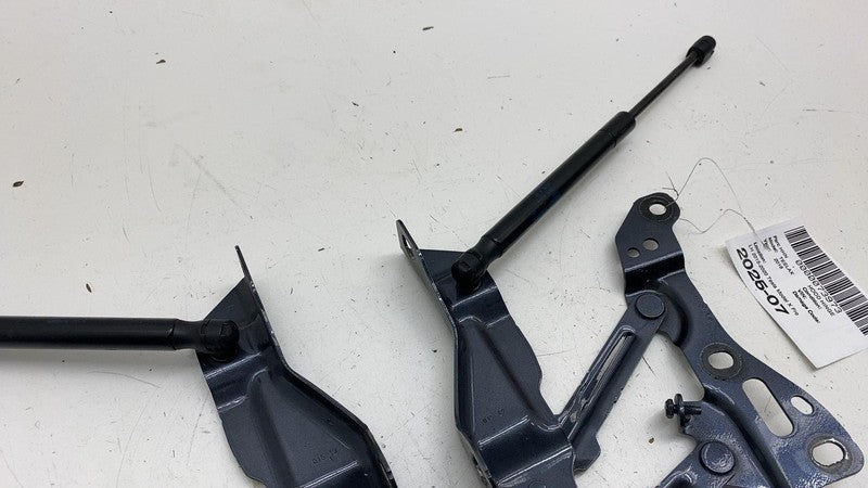 1058041-00-B ⭕16-20 Model X MX Front Left & Right Side Bonnet Hood Hinge w/ Lift Support Assy