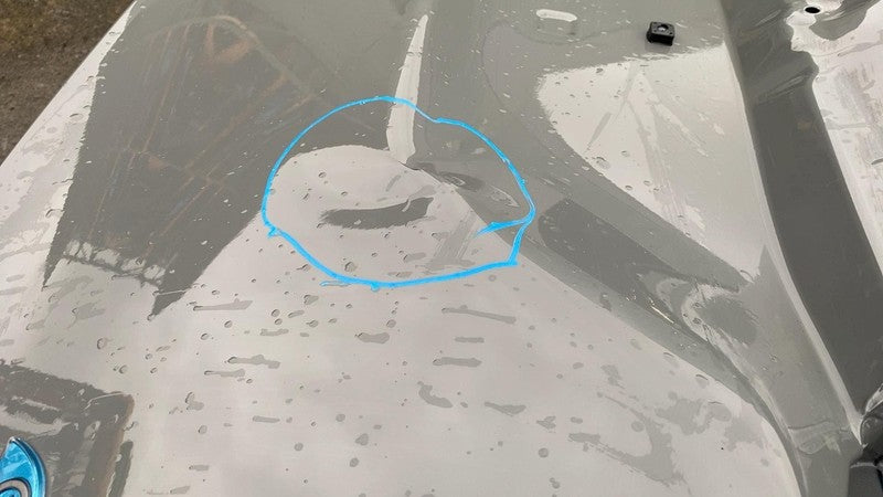 2021-2024 Chrysler Pacifica Trunk Tailgate Liftgate Decklid Shell Pane