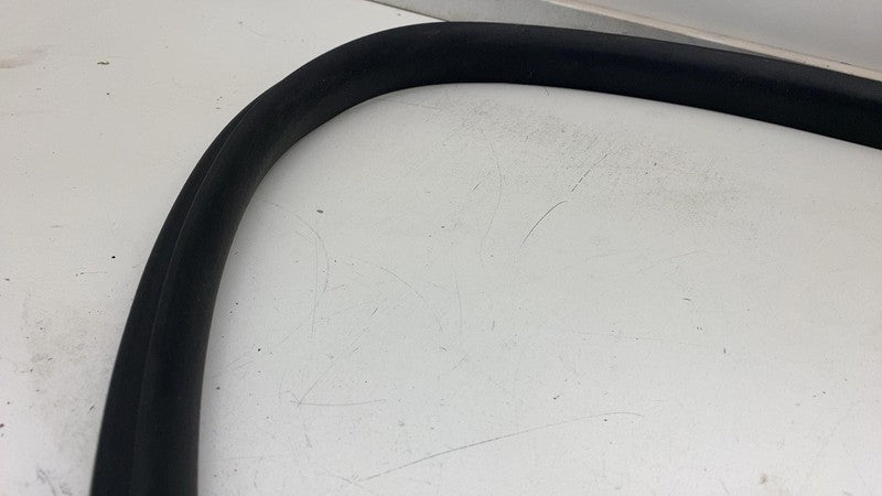 2020-2022 Tesla Model Y Front Passenger Side Door Weatherstrip Rubber Seal Right
