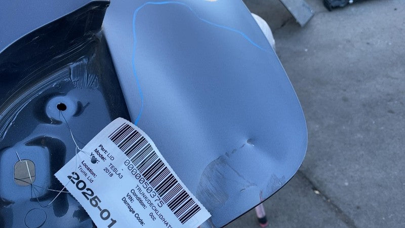 2017-2020 Tesla Model 3 M3 Rear Trunk Tailgate Liftgate Decklid Shell Panel Assy