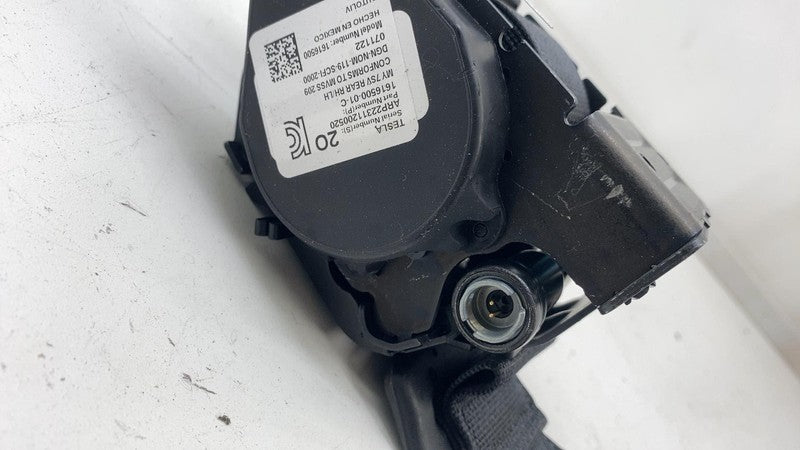 ⭕ 20-23 Model Y Rear Passenger Right 2nd Row Seat Belt & Retractor 161