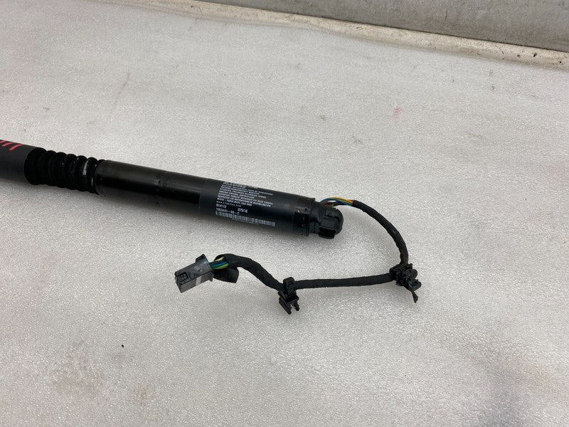 106344100C ⭕16-23 Model X Rear Left/Right Secondary Falcon Door Lift Gas Strut 1063441-00-C