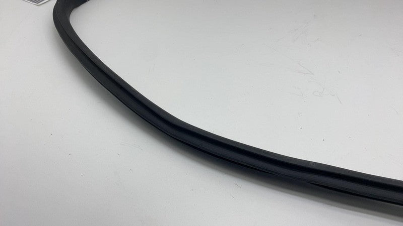 2020-2023 Tesla Model Y Front Passenger Right Door Body Weatherstrip Rubber Seal