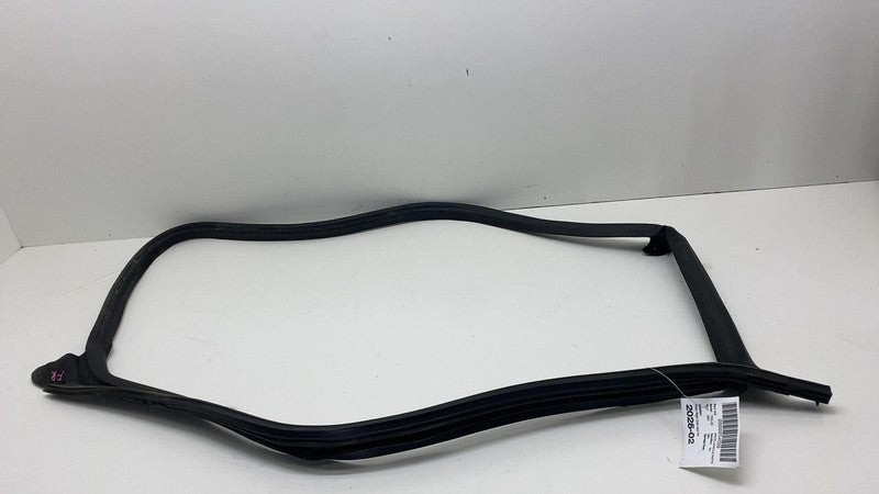 2017-2023 Tesla Model 3 Front Passenger Door Primary Weatherstrip Seal Right RH