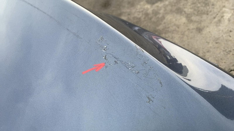 ⭕2016-2020 Tesla Model S Rear Liftgate Trunk Lid Tailgate Hatch Shell 