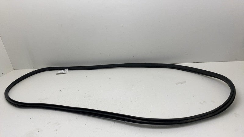 68291607 ⭕ 2019-2025 Ram 1500 Rear Left Door Body Weatherstrip Rubber Seal OEM 68291607