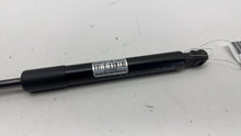 ⭕ 2017-2023 Tesla Model 3 Rear Right Trunk Lid Tailgate Shock Strut 1551489-00-B