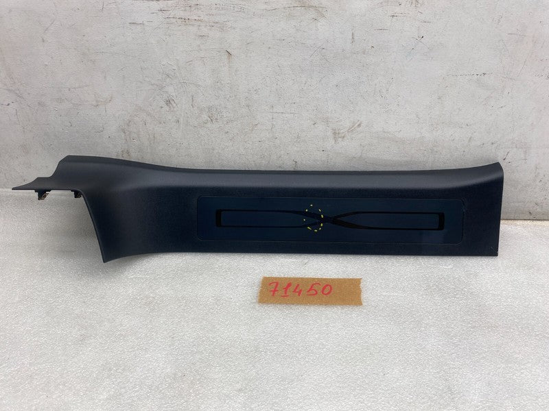 1105145 00 B ⭕2016-2020 Tesla Model X Rear Left Door Sill Scuff Plate Trim Cover 1105145-00-B