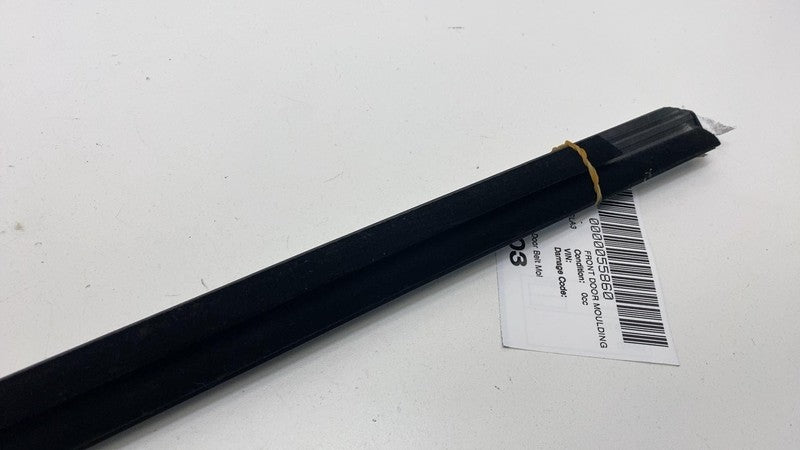 108068100H ⭕ 2021-2025 Tesla Model 3 Front Left Door Window Outer Belt Molding 1080681-00-H