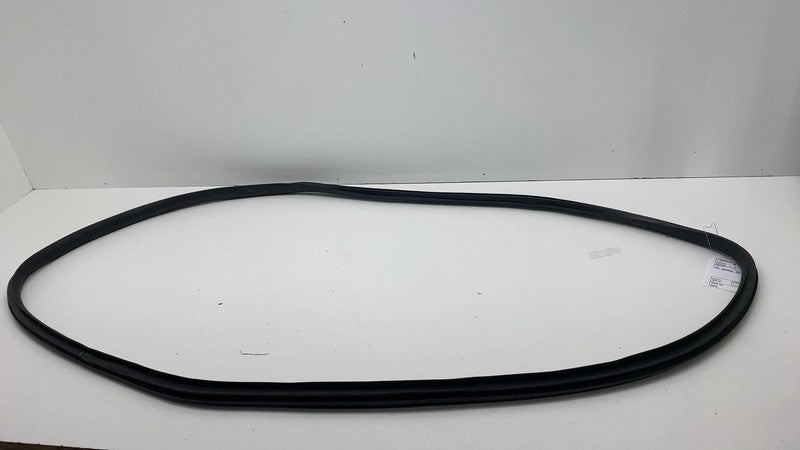 2020-2023 Tesla Model Y MY Front Driver Left Door Body Weatherstrip Rubber Seal