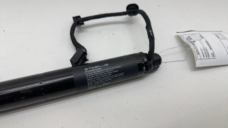 ⭕16-24 Tesla Model X Rear Right Secondary Falcon Door Lift Strut RH 10
