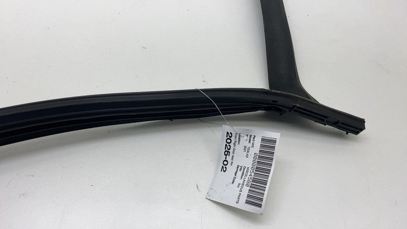 2017-2023 Tesla Model 3 Front Passenger Door Primary Weatherstrip Seal Right RH