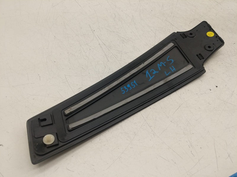 ⭕ 2012-2015 Tesla Model S Driver Side B-Pillar Molding Applique Glass 