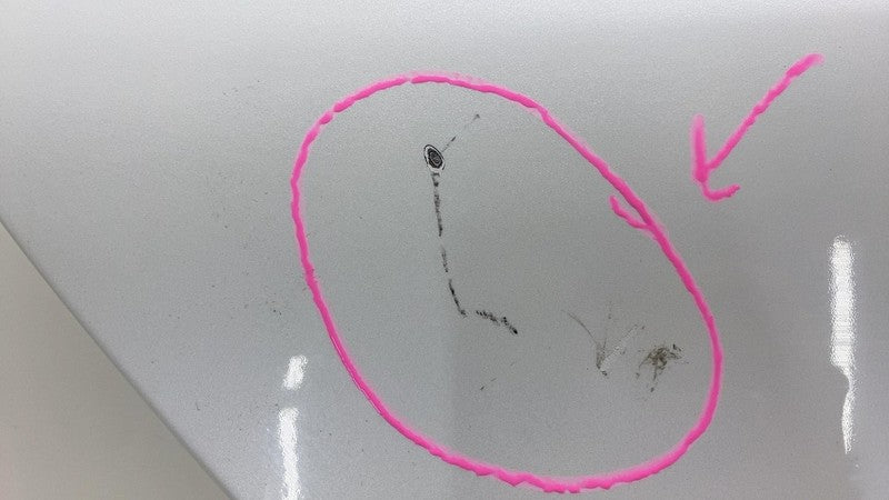 ⭕ 2016-2020 Tesla Model S Rear Passenger Side Door Shell Panel Right W