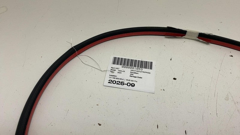 ⭕ 16-25 Tesla Model X MX Front Driver Side Door Secondary Seal Left 15