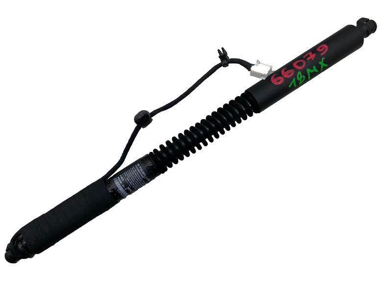 ⭕ 16-25 Model X Front Left/Rear Right Primary Door Lift Shock Strut 10