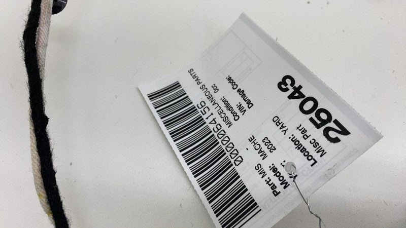 LJ8BR254A42AHW ⭕ 21-24 Mustang Mach-E Rear Right Door Window Applique Molding LJ8B-R254A42-AHW