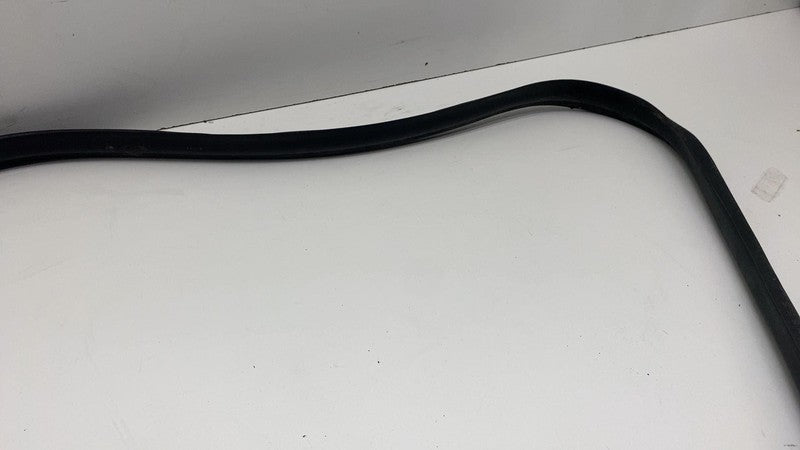 2017-2023 Tesla Model 3 Front Passenger Door Primary Weatherstrip Seal Right RH