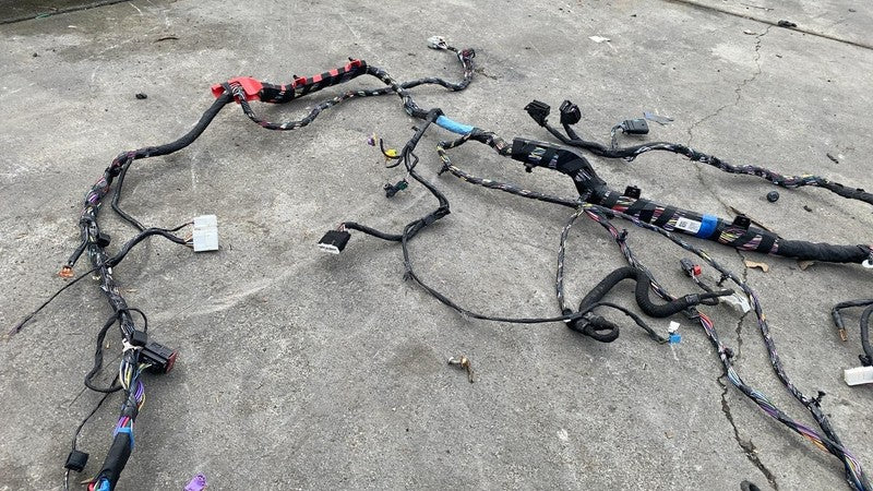 248639401C 2021 2022 2023 2024 Tesla Model S Main Body Wiring Harness Cable Wire Loom OEM
