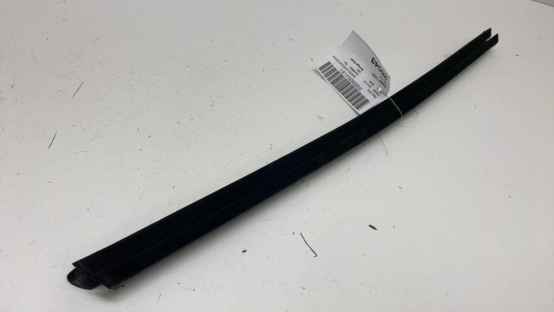 ⭕ 2021 2022 2023 2024 Ford Mustang Mach-E Door Window Inner Weatherstr