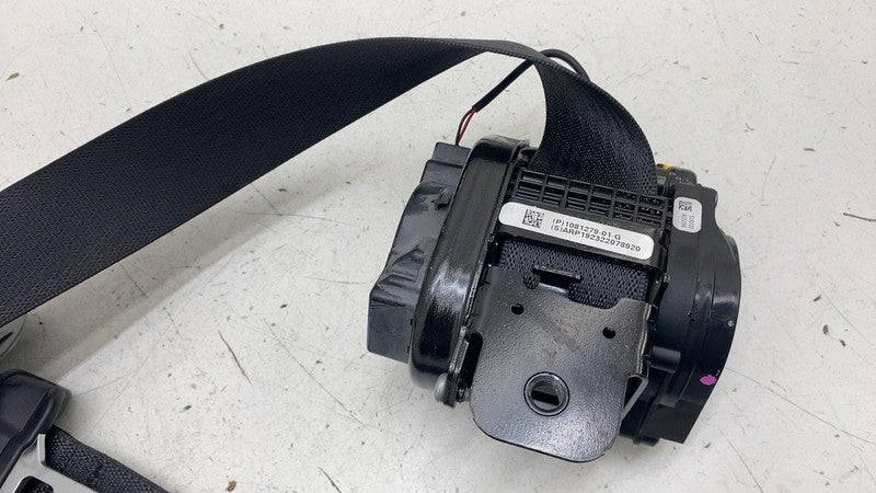 ⭕ 2017-2023 Tesla Model 3 Front Right 1st Row Seat Belt & Retractor 10