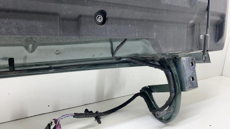 ⭕ 22-24 Rivian R1T Rear Truck Bed Door Tailgate Shell Assy Forest Gree