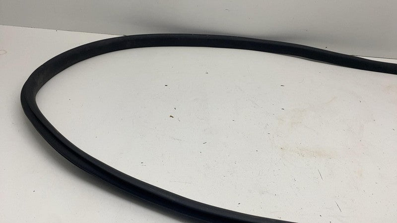 ⭕ 20-24 Tesla Model Y Front Left Door Body Weatherstrip Rubber Seal 14