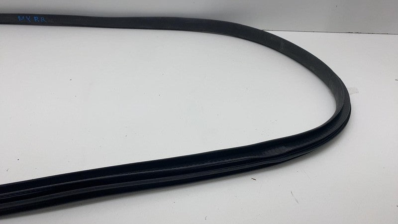 2020-2023 Tesla Model Y Rear Passenger Right Door Body Weatherstrip Rubber Seal