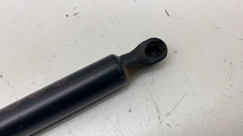 689600WM70 ⭕ 23-25 Toyota Prius Rear Left Liftgate Tailgate Lift Cylinder Strut 68960-0WM70