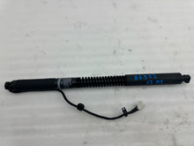 ⭕ 16-23 Model X Rear Left / Front Right Primary Door Lift Gas Strut 1063440-00-D