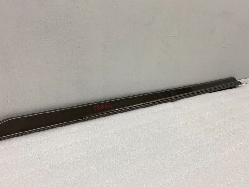 101221500F ⭕ 12-25 Model S Driver Side Rocker Panel Scuff Plate Molding Left 1012215-00-F