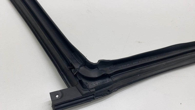 2017-2023 Tesla Model 3 Rear Driver Side Left Door Primary Weatherstrip Seal OEM