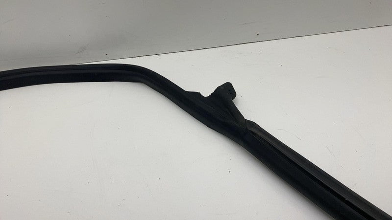 2017-2023 Tesla Model 3 Rear Driver Side Left Door Primary Weatherstrip Seal OEM