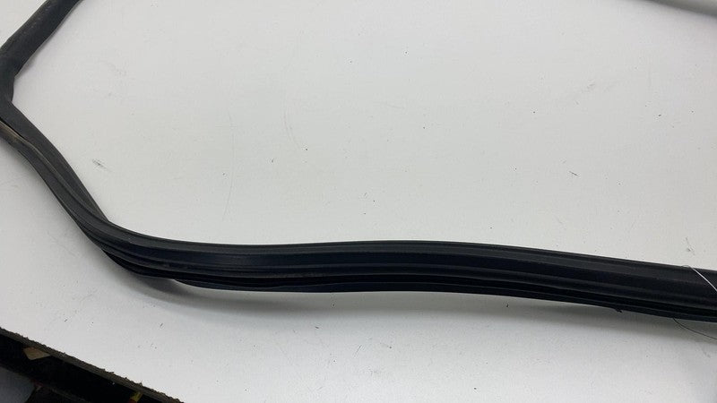 2017-2023 Tesla Model 3 Front Passenger Door Primary Weatherstrip Seal Right RH
