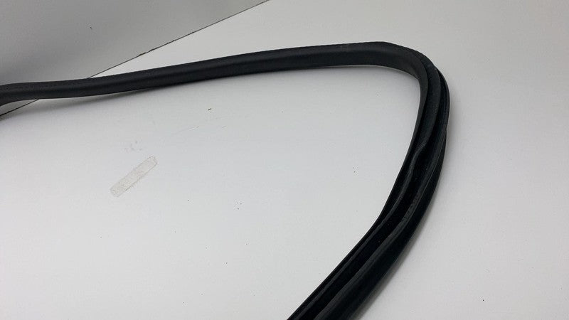 2024 Tesla Cybertruck Rear Passenger Right Door Seal Gasket Weather St