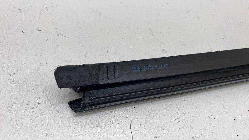 ⭕ 2021-2024 Ford Mustang Mach-E Right Door Window Inner Belt Weatherst