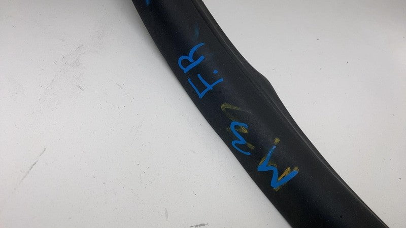 2017-2023 Tesla Model 3 Front Passenger Door Primary Weatherstrip Seal