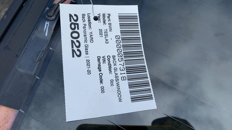 ⭕ 21-23 Model 3 M3 Rear Trunk Panoramic Backlite Glass Back Section 14