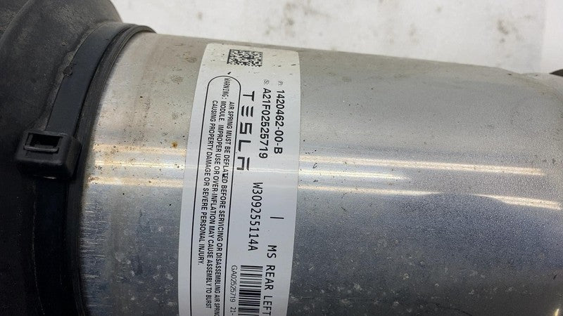 2021-2024 Tesla Model S MS Rear Driver Side Air Suspension Strut Shock