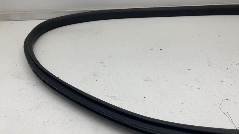 2020-2022 Tesla Model Y Front Passenger Side Door Weatherstrip Rubber Seal Right