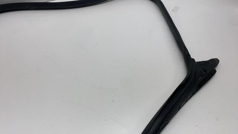 2017-2023 Tesla Model 3 Front Passenger Door Primary Weatherstrip Seal Right RH