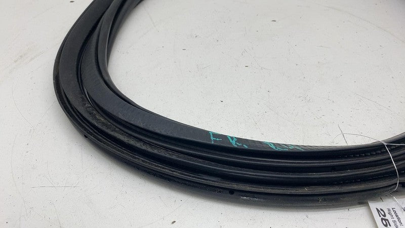31662569 ⭕ 21-23 Polestar 2 Front Passenger Door Body Weatherstrip Seal Right RH 31662569